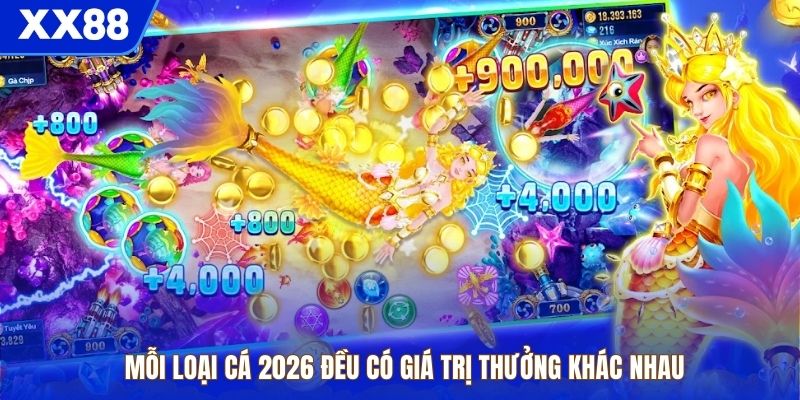 Mỗi loại cá 2026 đều có giá trị thưởng khác nhau